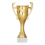 Puchar 8493 Złoty