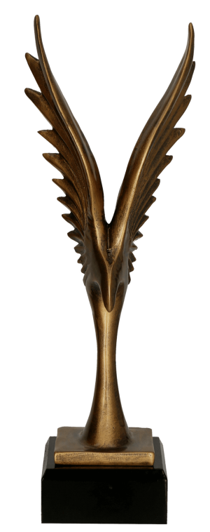 Trofeum ogólne RFST3046/BR - obrazek 2
